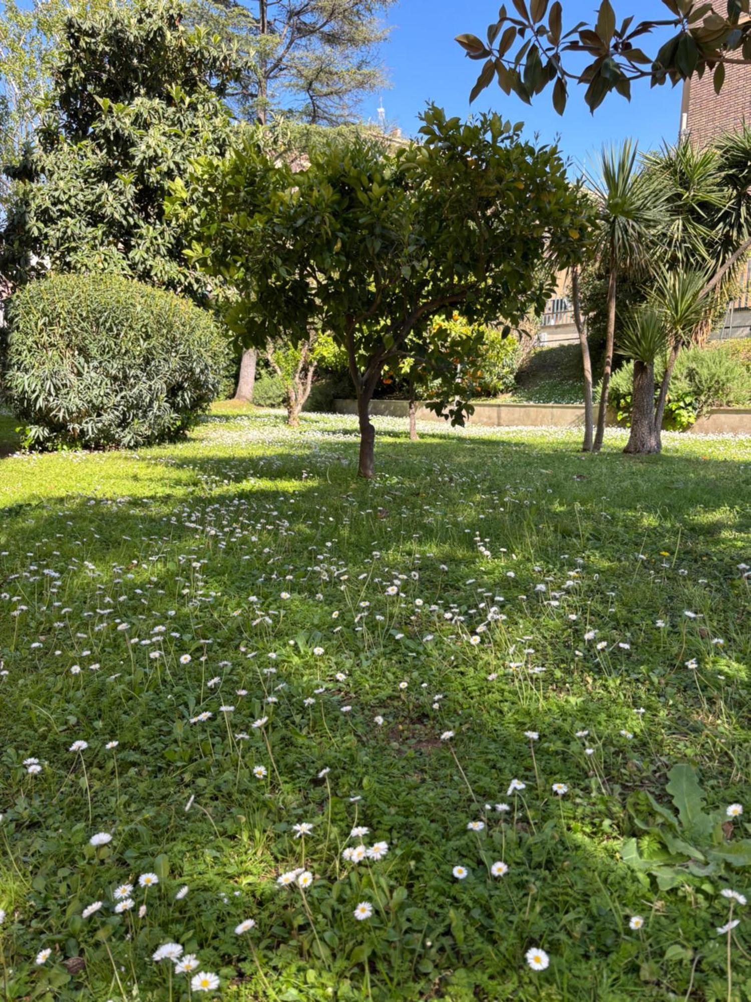 Grelly'S House - Holiday In Rome - 50 Meters From The Metro المظهر الخارجي الصورة