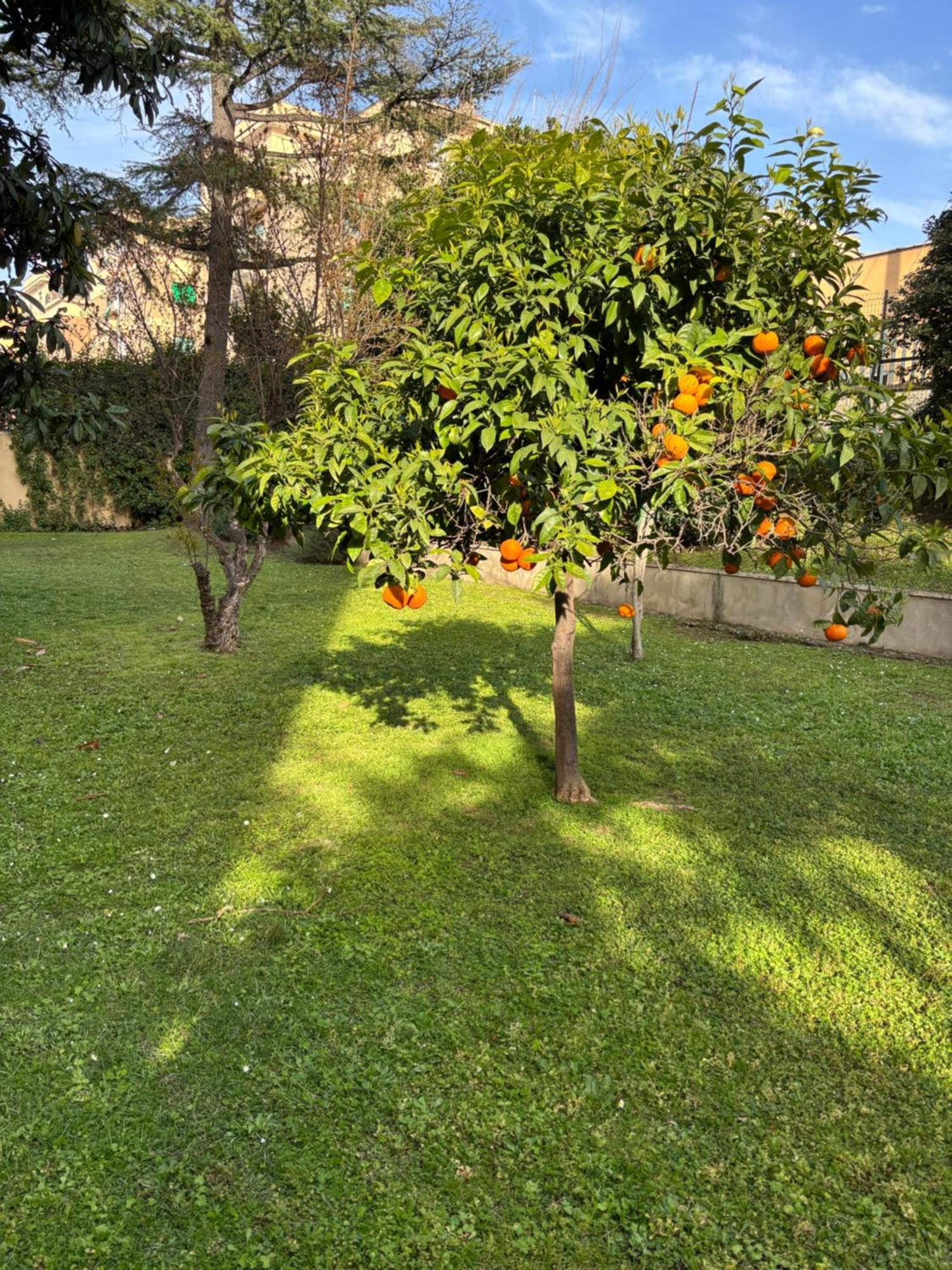 Grelly'S House - Holiday In Rome - 50 Meters From The Metro المظهر الخارجي الصورة